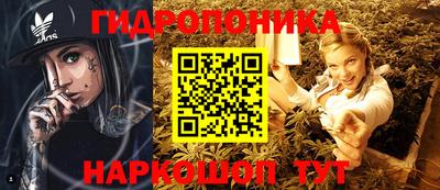 ECSTASY Моздок