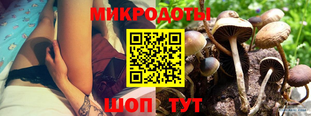 где купить   Вход с VPN  Унеча  Псилоцибиновые грибы прущие грибы  Галлюциногенные грибы мицелий 