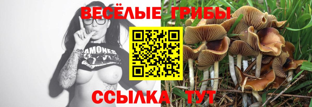 Галлюциногенные грибы Magic Shrooms Унеча